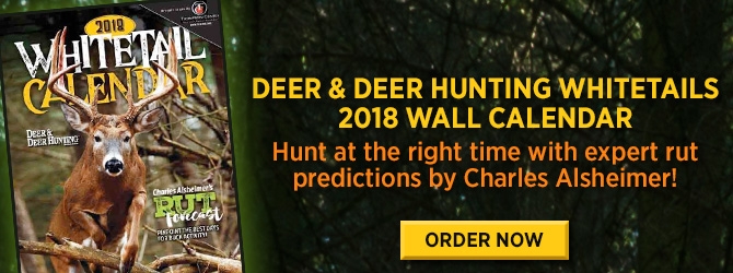 Deer Hunting Stands: Find the Best Funnels