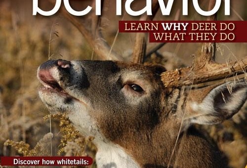 Scent Control Tactics for the Traveling Hunter
