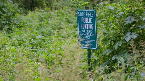 A Brief Explanation of Hunting Ethics