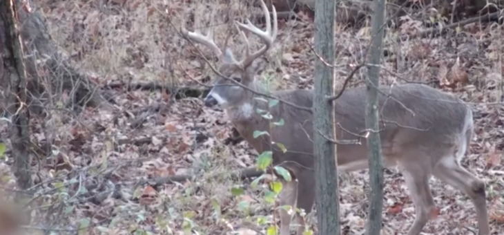 How to Keep Your Public Land Hunting Spots Hidden