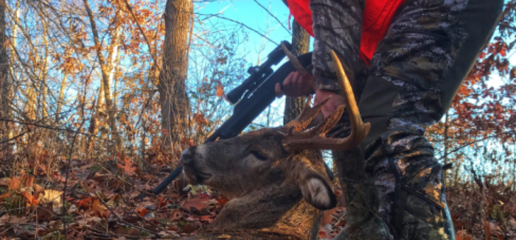 Should You Worry About Eating Venison? 6 Expert Opinions